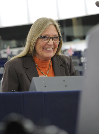 Photo 25: Plenary Session Week 16 2012 Our life insurance, our natural capital: an EU biodiversity strategy to 2020