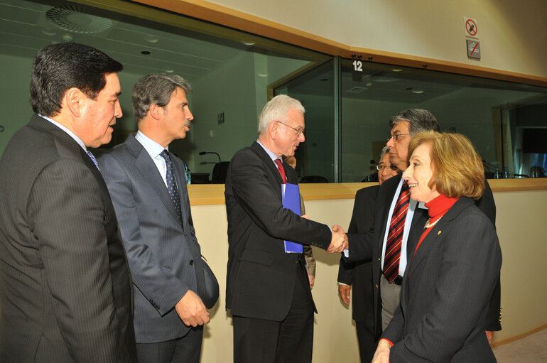 Foto 3: Joint parliamentary committee meeting EU - Mexico.