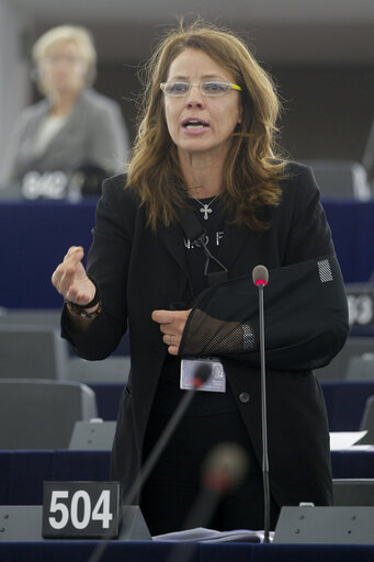 Foto 3: Plenary Session in Strasbourg - Week 11 - 2012