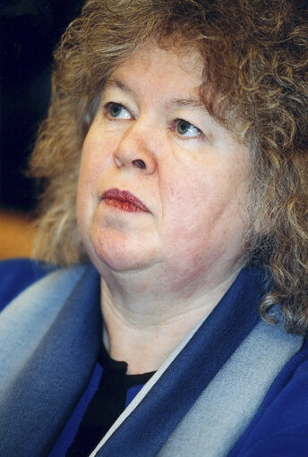 Foto 16: Jean LAMBERT in a meeting at the EP in Brussels.