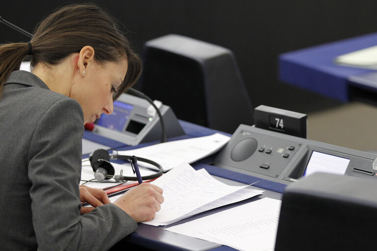 Foto 8: Plenary Session in Strasbourg - Week 3 - 2012