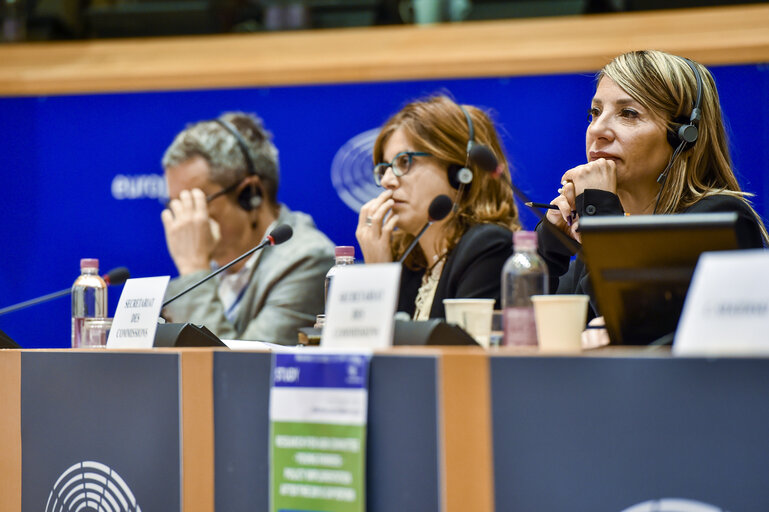 Fotografija 10: Committee on Agriculture  and Rural Development . Hearing on the ' Implemantation of young farmers' policies after the 2013 CAP reform '