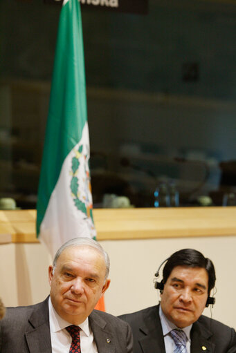 Foto 11: Joint parliamentary committee meeting EU - Mexico.