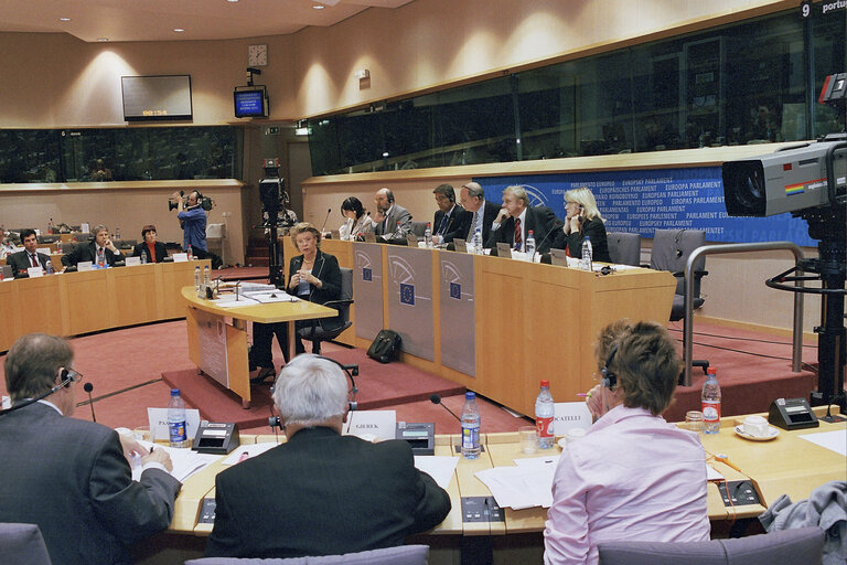 Fotografija 8: Hearing of the Commissioner Designate for media and information society.