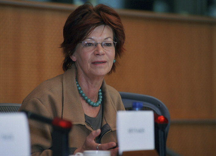 Gisela KALLENBACH at a meeting at the EP in Brussels.