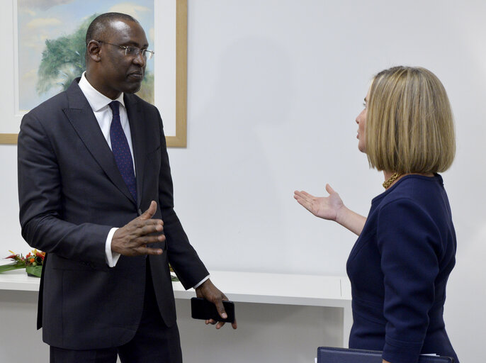 Снимка 2: Federica MOGHERINI, High Representative of the Union for Foreign Affairs and Security Policy and Vice-President of the EC meets with Abdoulaye DIOP, Minister of Foreign Affairs of Mali