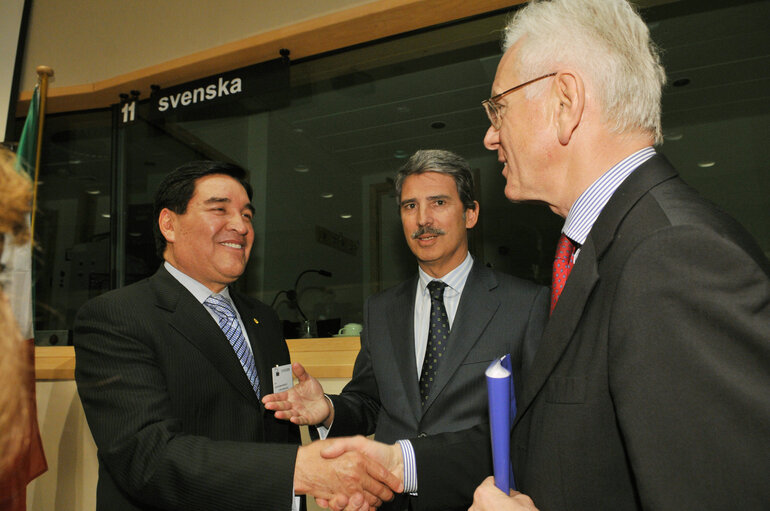 Foto 4: Joint parliamentary committee meeting EU - Mexico.