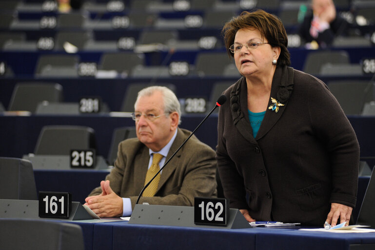 Photo 22: Danish Presidency. Plenary session in Strasbourg week 3 - 2012