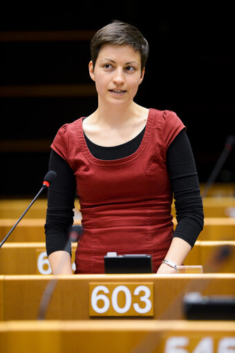 Fotografie 3: Plenary Session in Brussels - Week 13