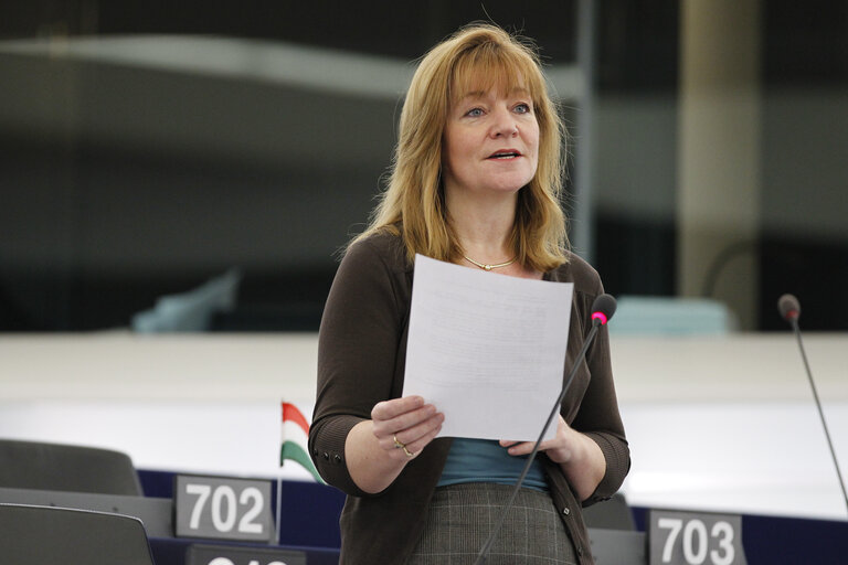 Plenary Session in Strasbourg - Week 3 - 2012