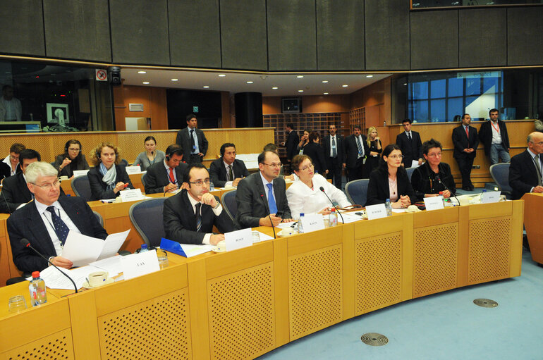 Photo 6 : AFET Committee meeting: Report by the Chairperson of the Election Observation Delegation to Moldova.