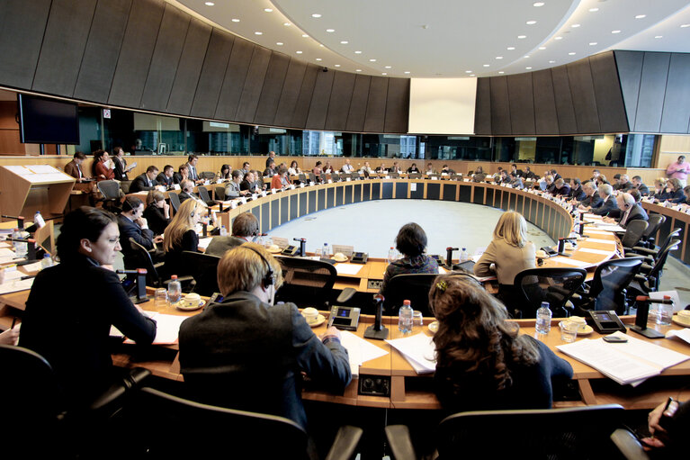 Photo 1 : AFET Hearing on the future financing of enlargement