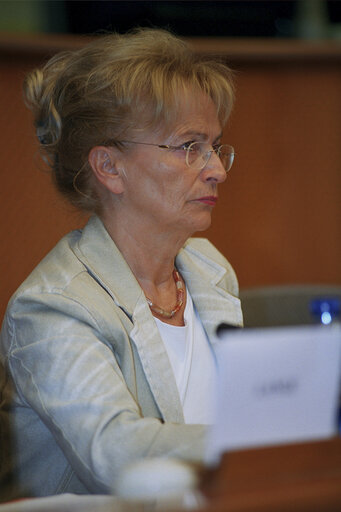 Doris PACK in a meeting at the EP in Brussels.