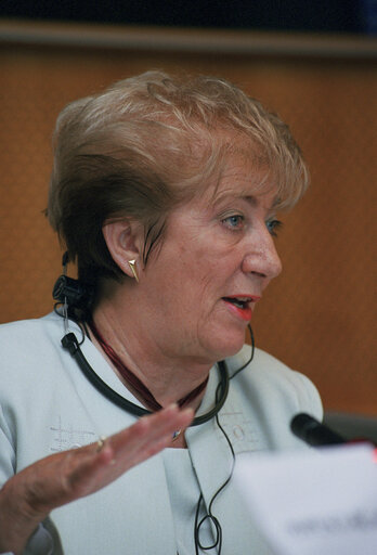 Magda KOSANE KOVACS at a meeting at the EP in Brussels.