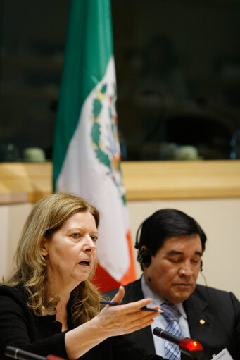 Foto 6: Joint parliamentary committee meeting EU - Mexico.