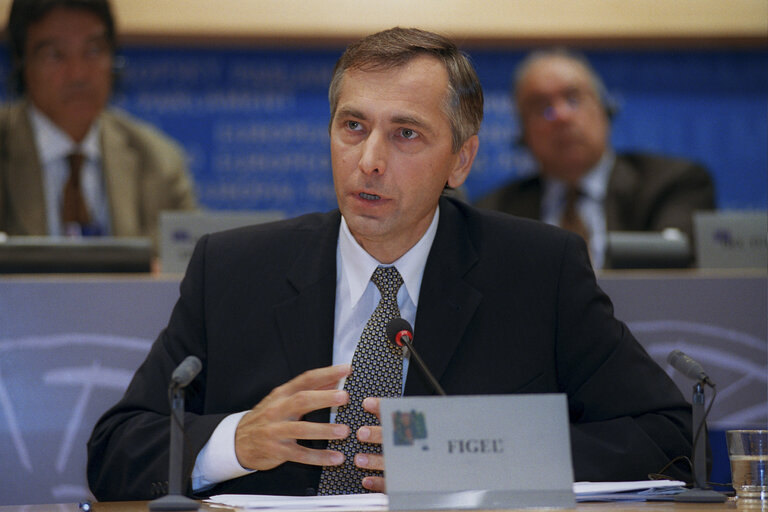 Foto 5: Hearing of the Commissioner Designate for Education, Training and Culture.