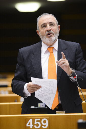 Fotografie 8: Plenary Session in Brussels - Week 13