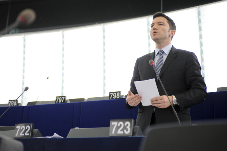 Photo 6: Plenary Session in Strasbourg - Week 11 - 2012