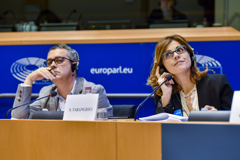 Fotografija 5: Committee on Agriculture  and Rural Development . Hearing on the ' Implemantation of young farmers' policies after the 2013 CAP reform '