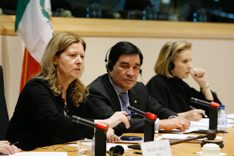 Foto 7: Joint parliamentary committee meeting EU - Mexico.