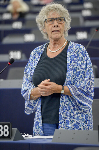 Fotografie 13: Plenary seesion week 27 2017 in Strasbourg - HIV, TB and HCV epidemics in Europe on the rise - Oral question