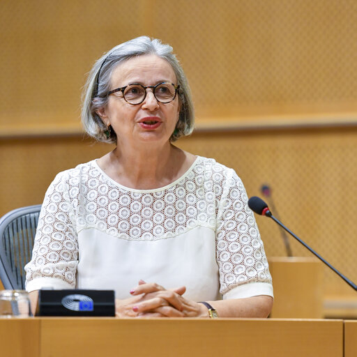 Fotografi 2: Mireille D'ORNANO in the European Parliament in Brussels