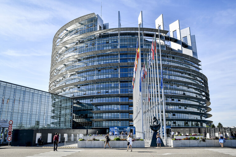 Fotografi 3: French and EU flags at half-mast at the European Parliament, following the passing away of Simone VEIL, former EP President