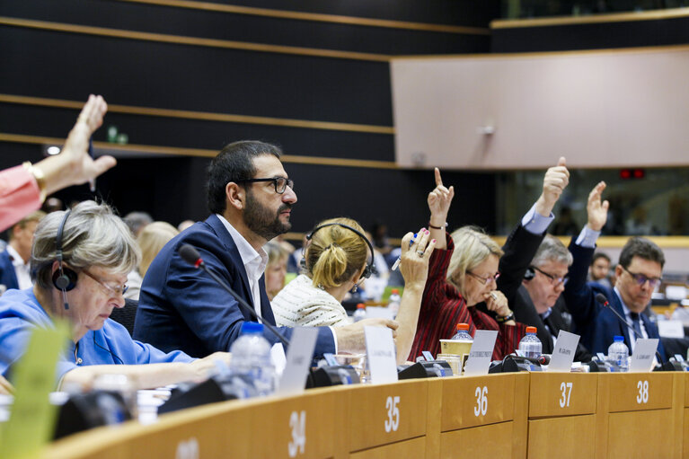 Foto 5: IMCO Committee - Votes