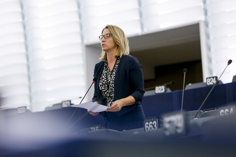 Foto 4: Plenary session week 27 2017 in Strasbourg - VOTES followed by explanations of votes