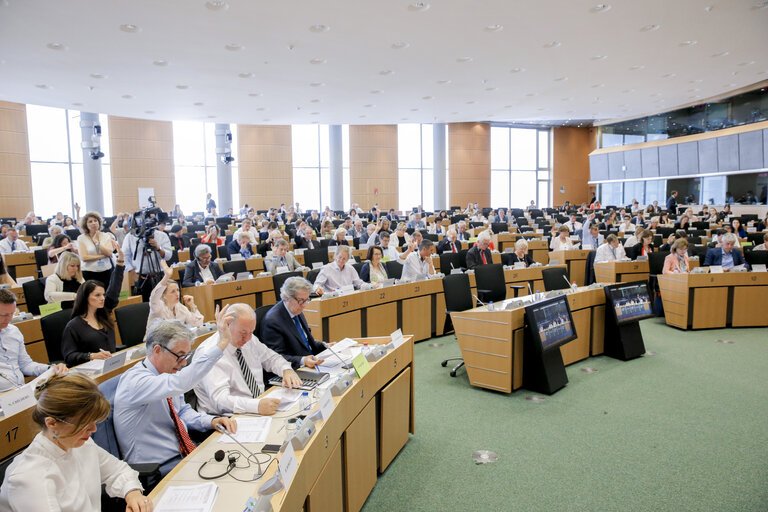 Снимка 2: ENVI Committee meeting. Vote on Greenhouse gas (GHG) emissions from the land use and forestry sector post-2020