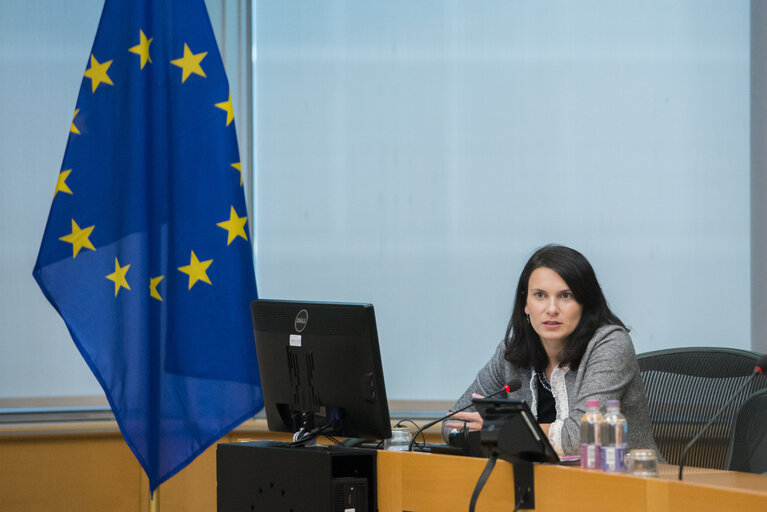 Fotografi 11: ' Funding opportunities within the European programmes '