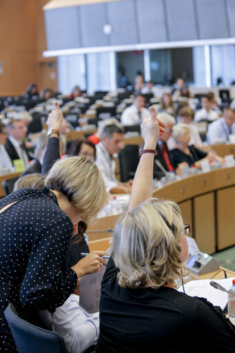 Снимка 12: ENVI Committee meeting. Vote on Greenhouse gas (GHG) emissions from the land use and forestry sector post-2020