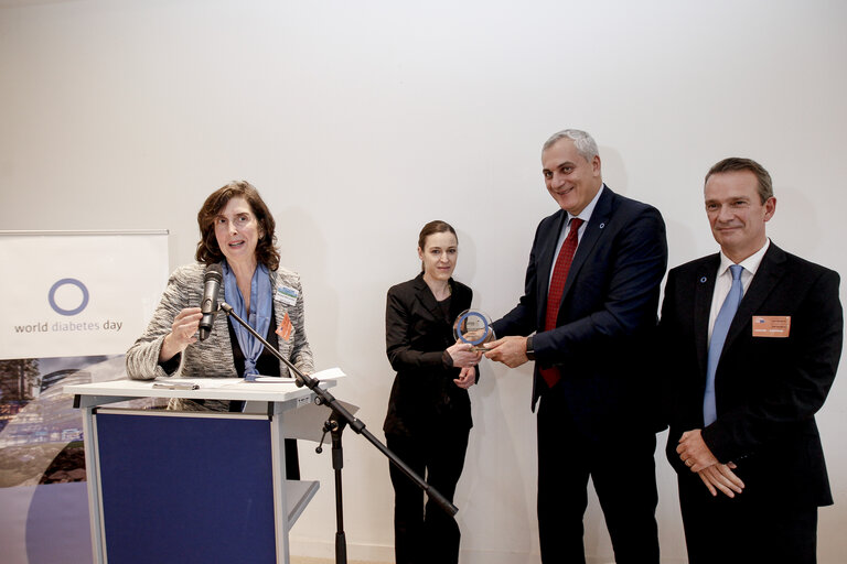 Fotografija 3: European Diabetes Awareness Week  Award Ceremony - 2015 IDF Europe Prizes in Diabetes