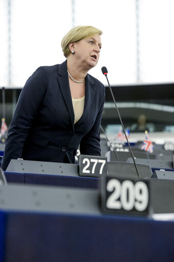 Photo 36 : Plenary session in Strasbourg - Week 44  2015 - Situation in South Sudan