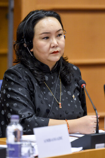 Valokuva 25: 11th EU-Mongolia Interparliamentary meeting