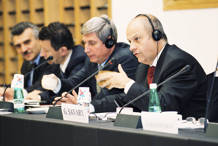 Fotagrafa 1: Meeting at the European Parliament in Strasbourg