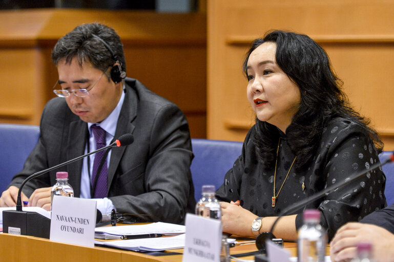 Valokuva 19: 11th EU-Mongolia Interparliamentary meeting