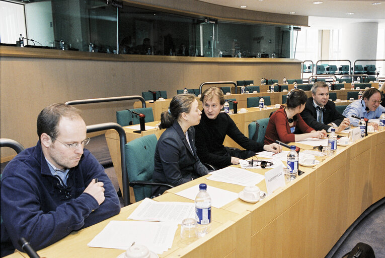 Zdjęcie 14: PACE Demonstration during a Greens Conference at the European Parliament in Brussels