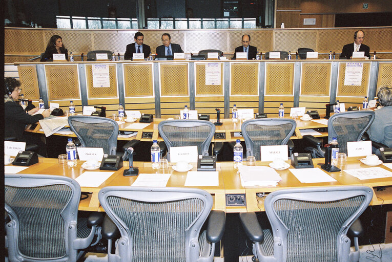 Foto 1: Public Hearing: European Heritage and Privatisation