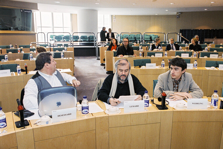 Zdjęcie 12: PACE Demonstration during a Greens Conference at the European Parliament in Brussels