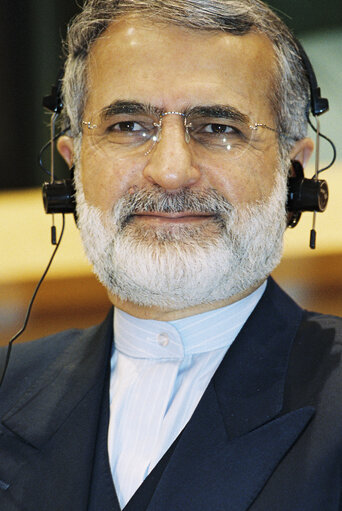 Foto 4: AFET Committee - Meeting with the Foreign Minister of Iran