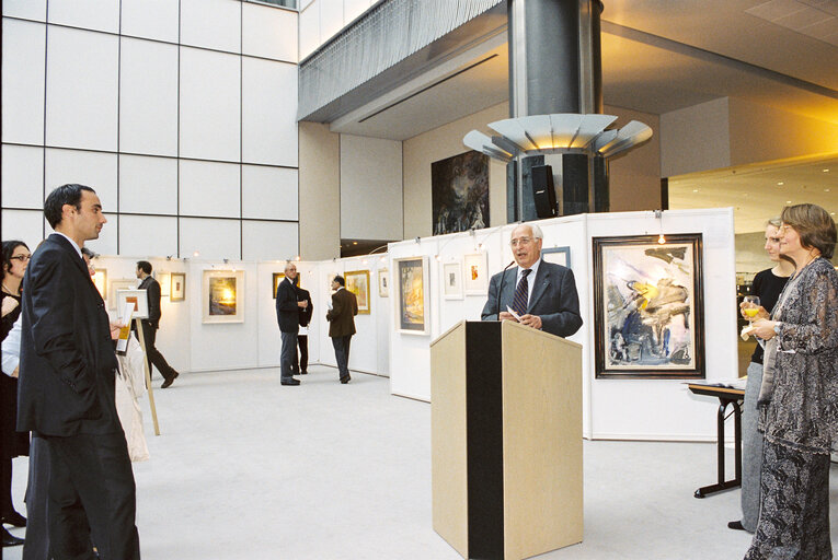 Billede 12: Exhibition at the European Parliament in Brussels