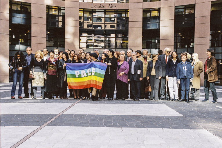 PACE Demonstration at the European Parliament in Strasbourg