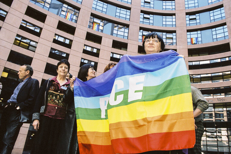 Zdjęcie 6: PACE Demonstration at the European Parliament in Strasbourg