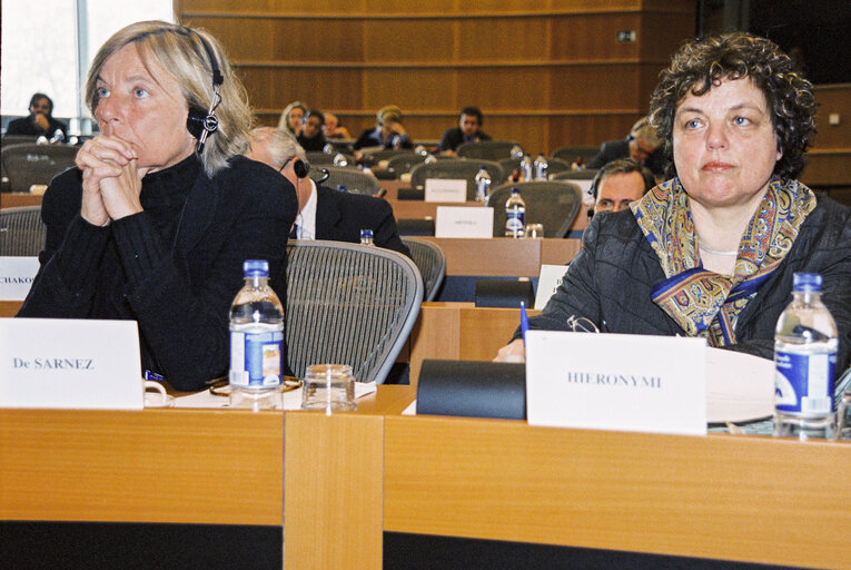 Foto 7: Public Hearing: European Heritage and Privatisation