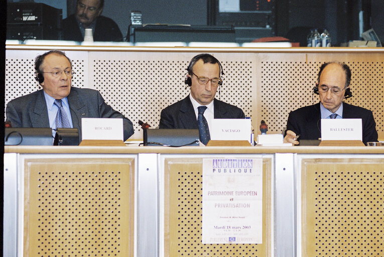 Foto 4: Public Hearing: European Heritage and Privatisation