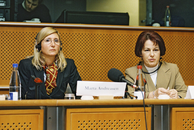 Meeting at the European Parliament in Brussels