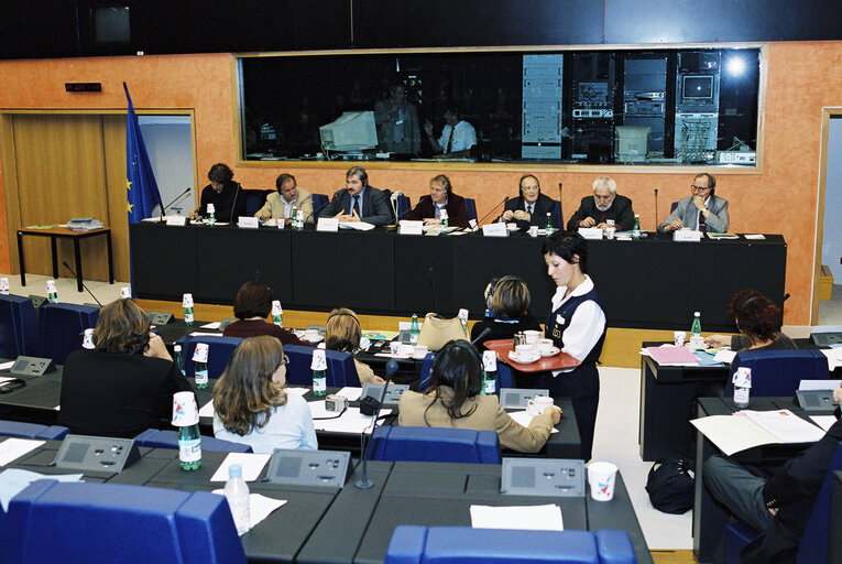 Fotagrafa 14: Meeting at the European Parliament in Strasbourg