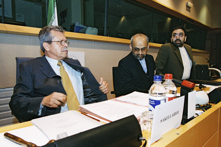 Fotografija 1: AFET Committee - Discussion with a delegation of the Iranian Parliament