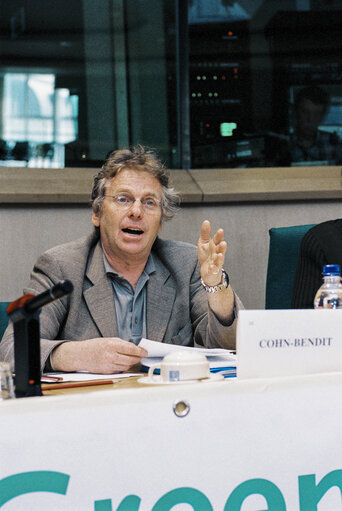 Zdjęcie 11: PACE Demonstration during a Greens Conference at the European Parliament in Brussels